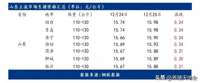 12月25日山东市场猪价