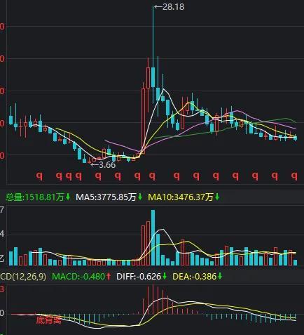 这股业绩大增净资产15.83股价7.4元，还会跌吗？