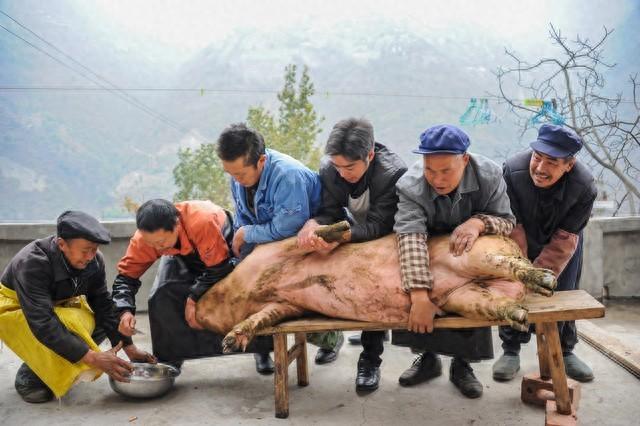 外国小伙按猪神似张飞，逗笑众人