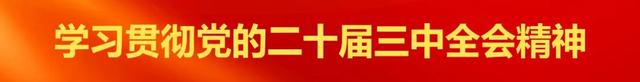 武林镇食用菌与广地龙种养殖项目一期正式启动建设